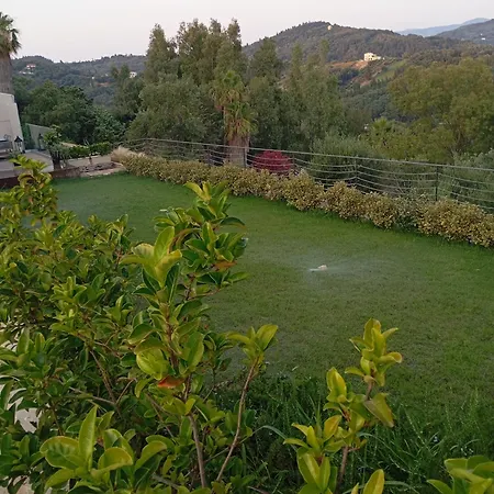 Pleiades - Summertime Stars * Afión